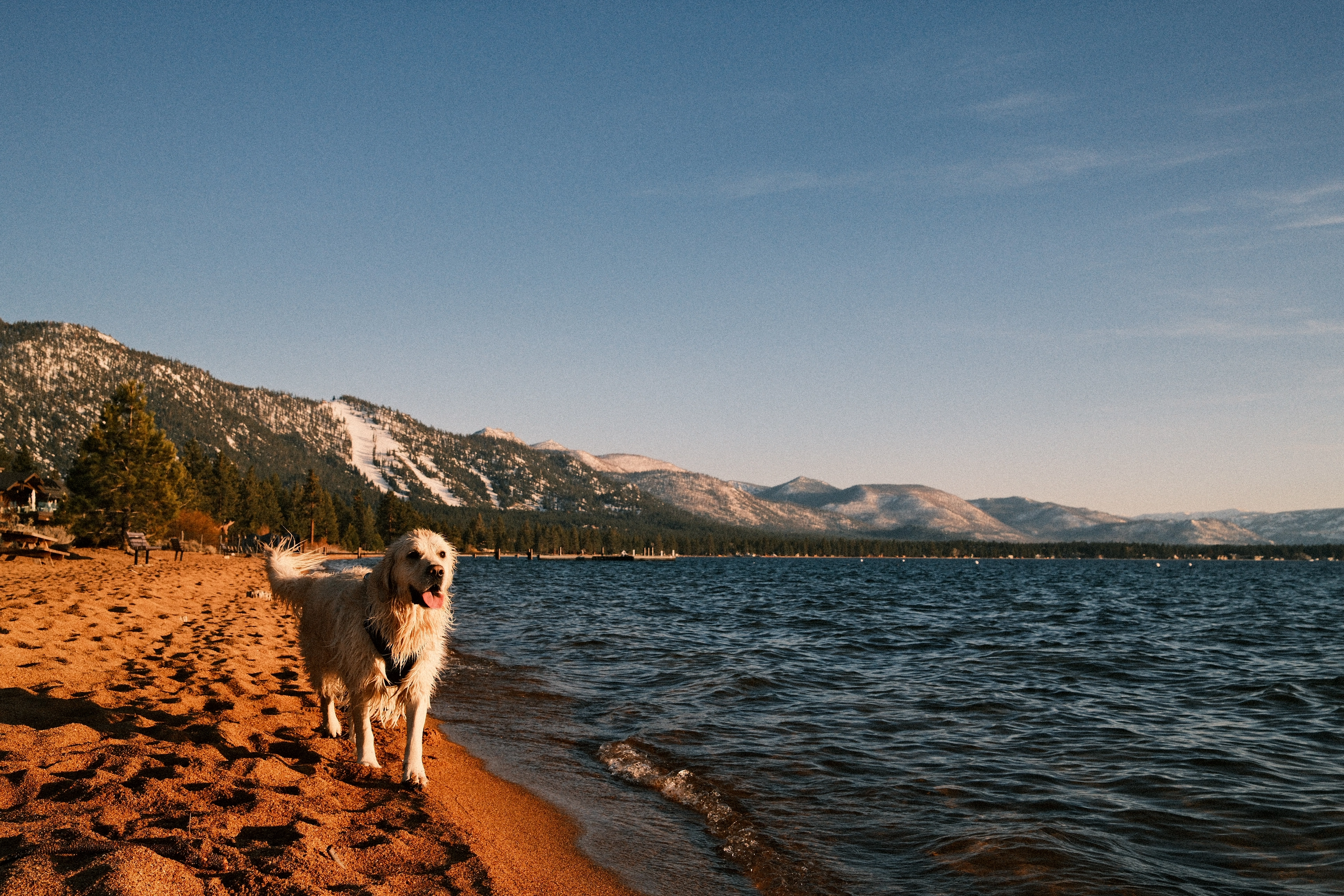 A photo of Nevada Beach.