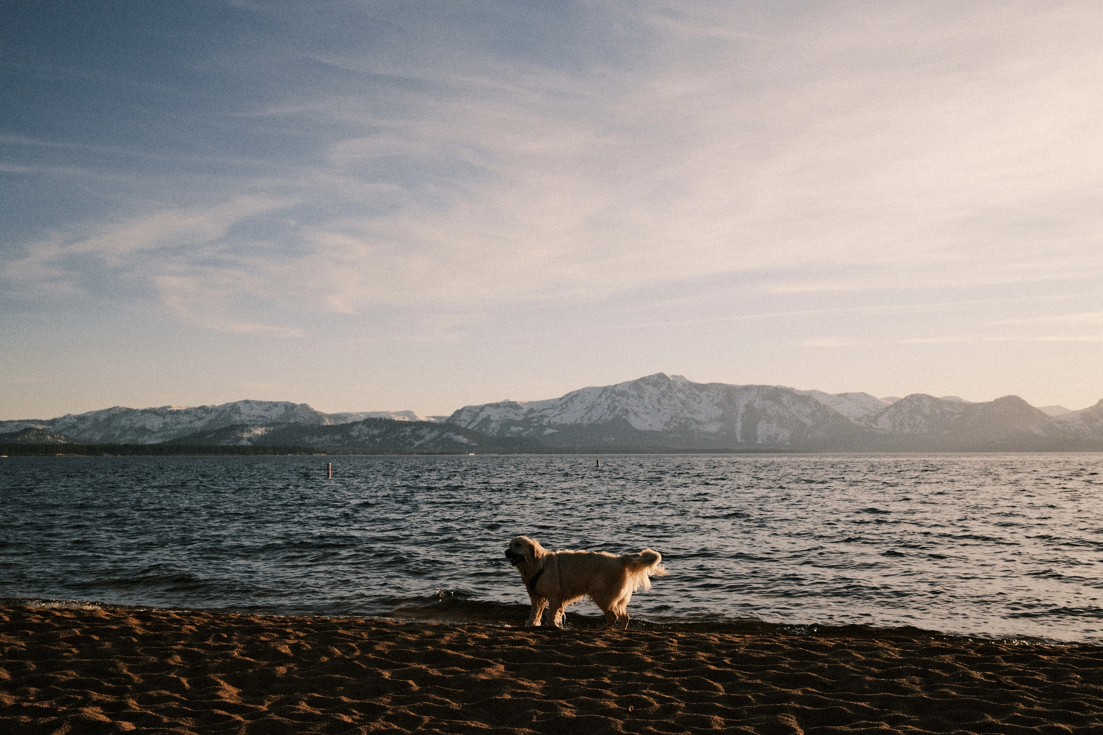 A photo of Lake Tahoe from Nevada Beach.