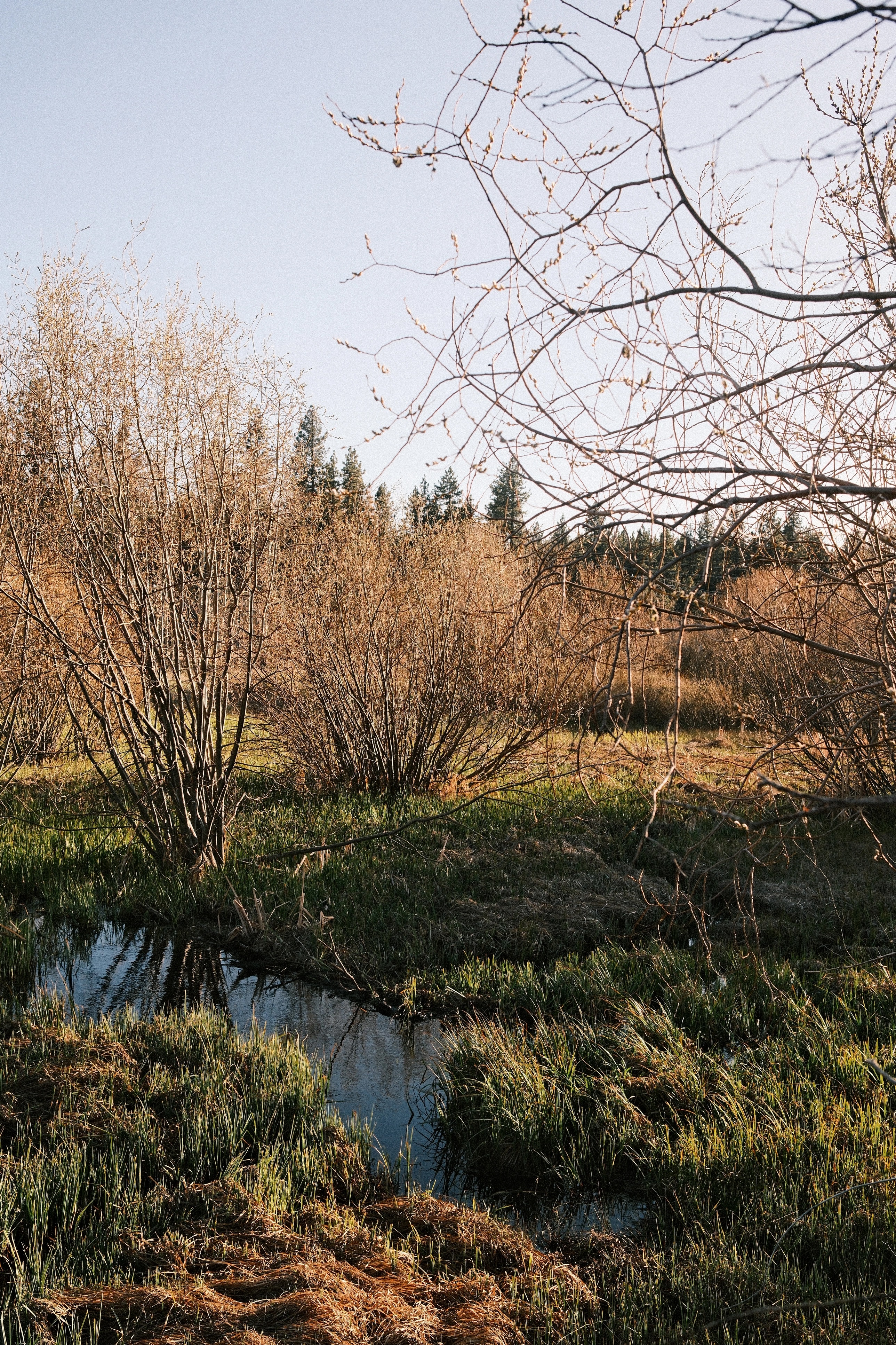 A photo of streams along the trail